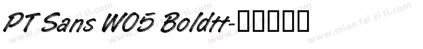 PT Sans W05 Boldtt字体转换